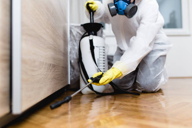 Professional Pest Control in Poipu, HI